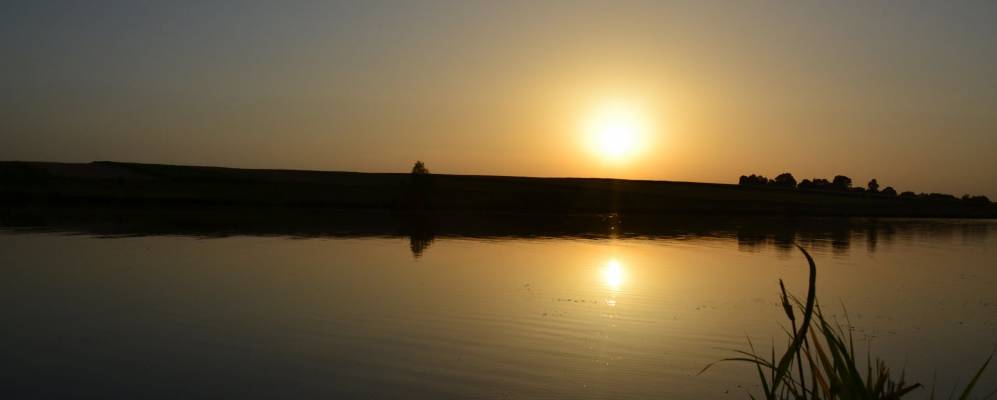 
            Фотография Просовцы