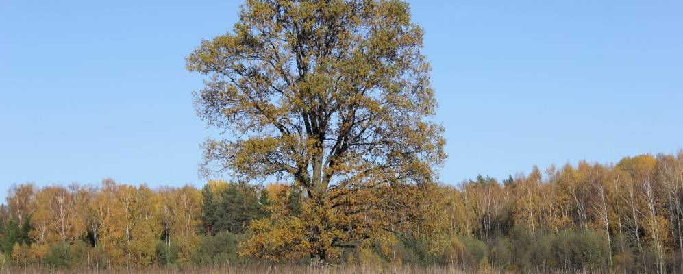 Фотография Кукулевщины