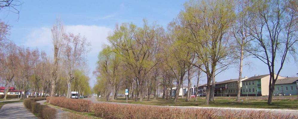 
            Фотография Подерсдорф-ам-Зе