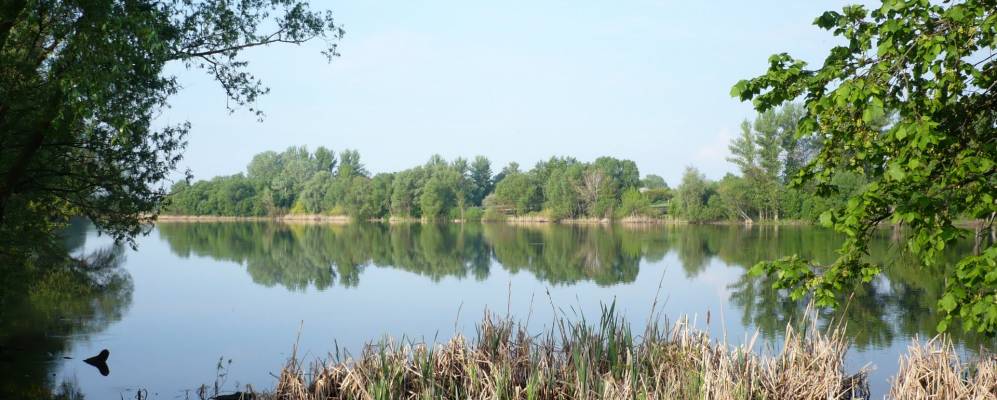 
            Фотография Графского