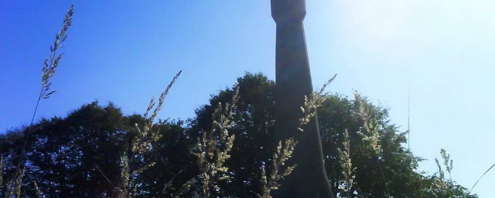 Фотография Придорожного