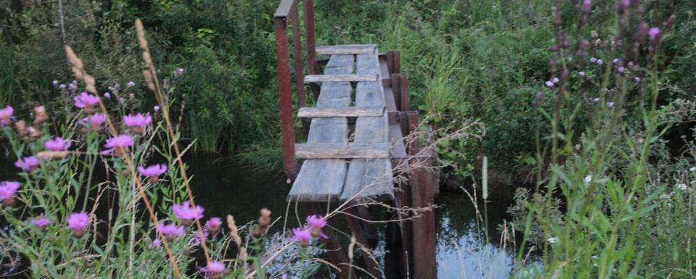 Фотография Голубово