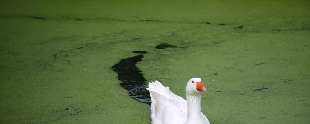 
            Фотография Мён-сюр-Луара