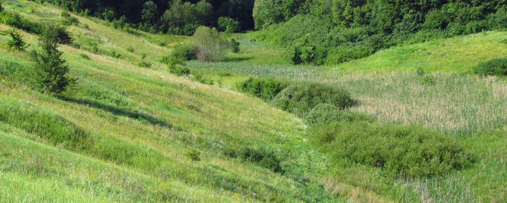 
            Фотография села Байцуры