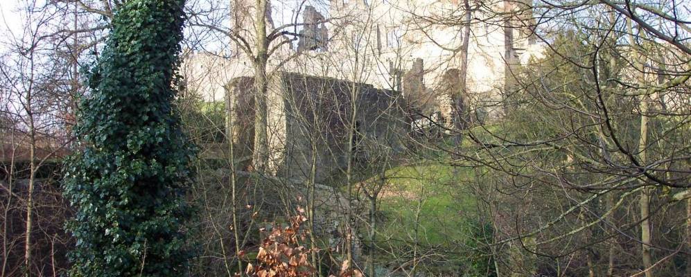 
            Фотография Уайлама