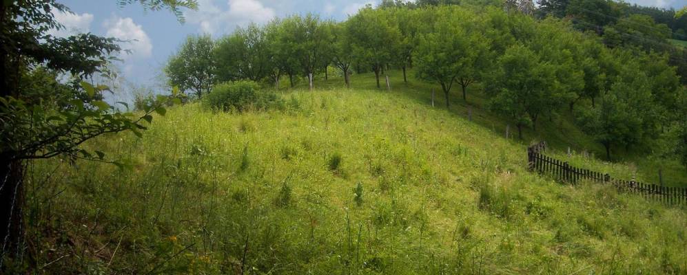 
            Фотография Крупань