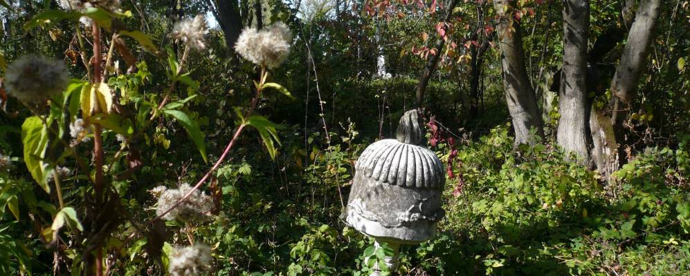 
            Фотография Зашкова