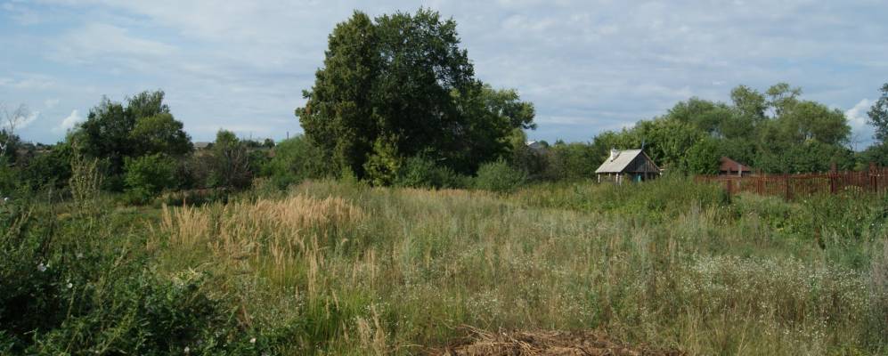 
            Фотография Тырново