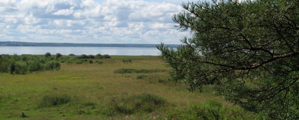 
            Фотография Сынково