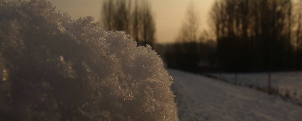 
            Фотография Баши