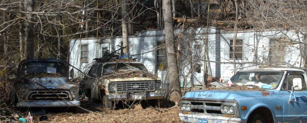 
            Фотография Коннеллай Спрингса