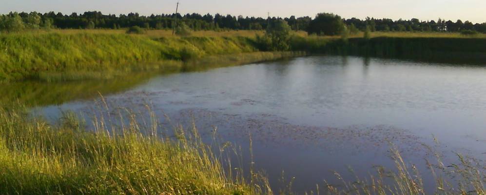 
            Фотография Скитьки