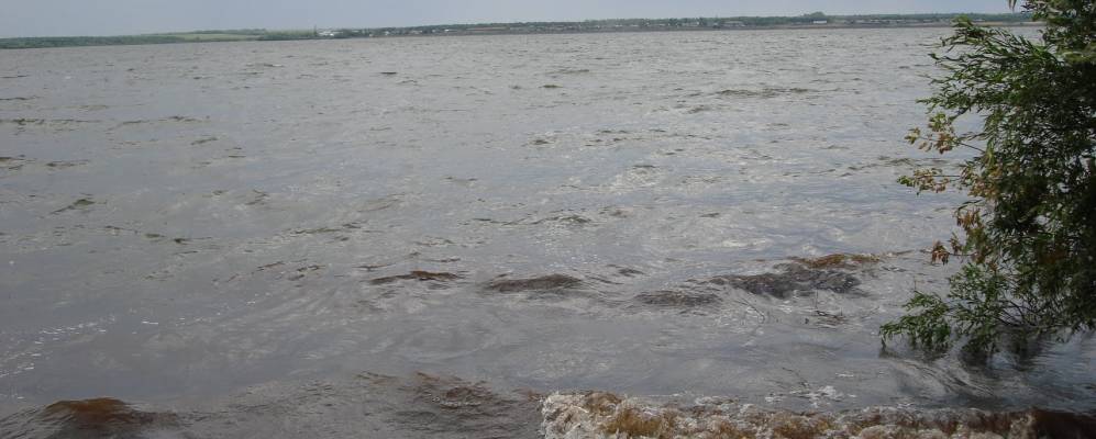 
            Фотография Родинского