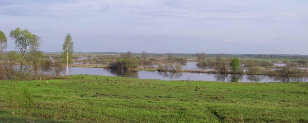 
            Фотография деревни Роги