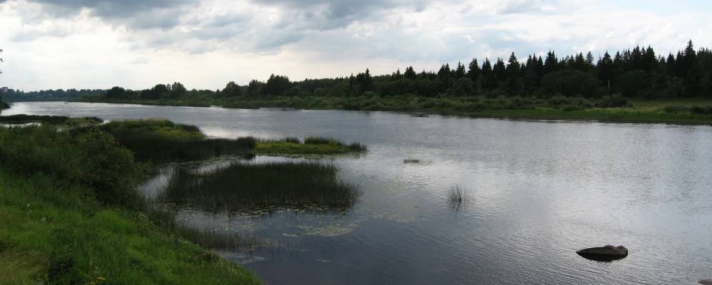 
            Фотография Ветренниково