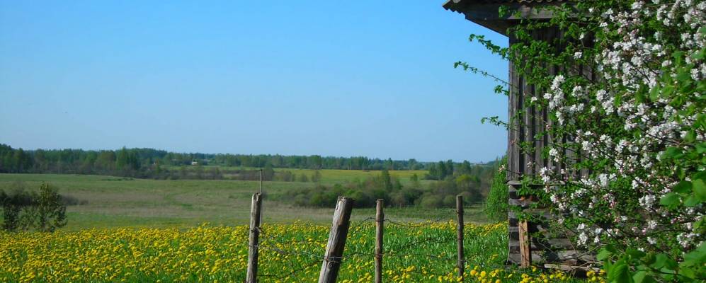 
            Фотография деревни Крюки