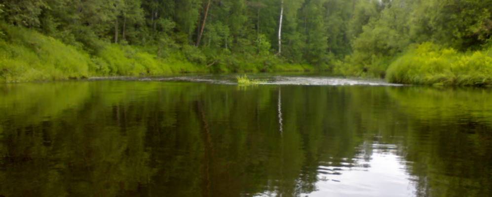 
            Фотография Тюково