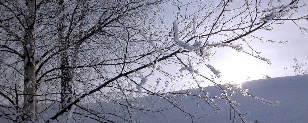 Фотография деревни Ловцы