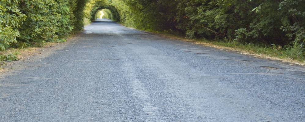 
            Фотография Венеславовки