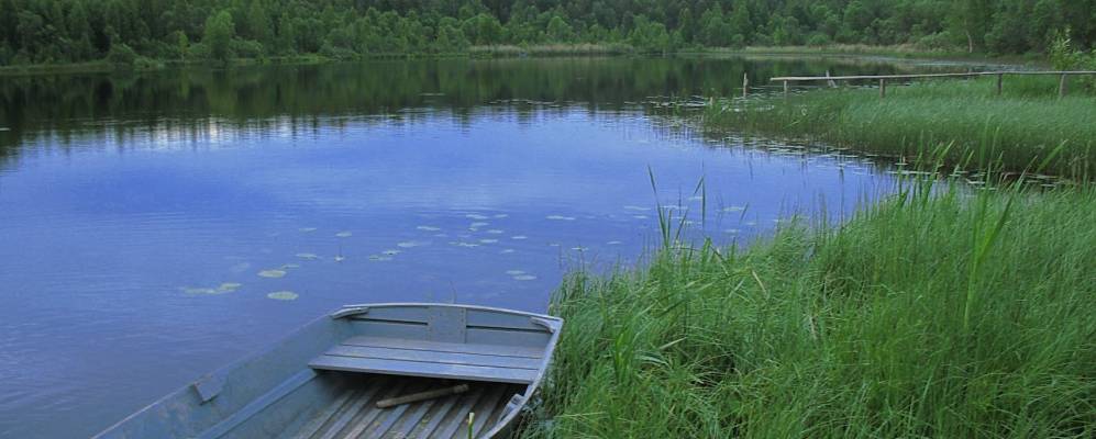 
            Фотография Харшино