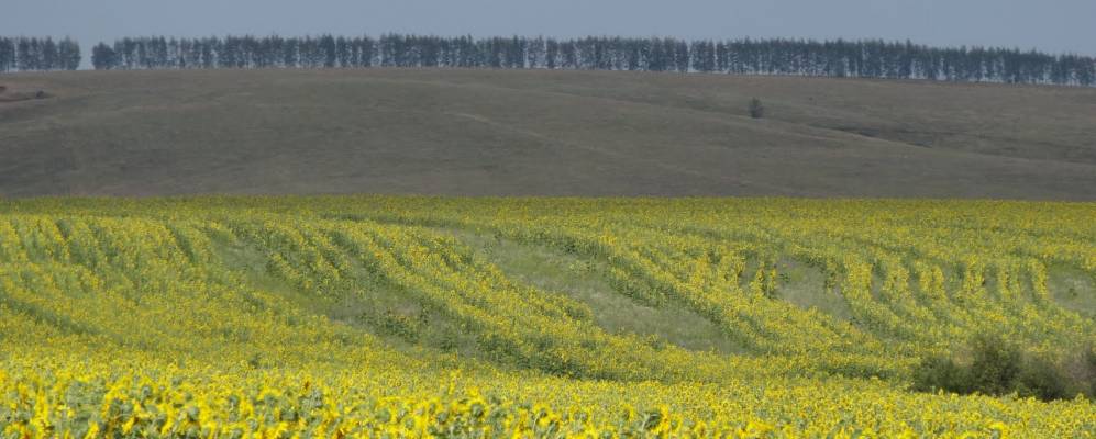 
            Фотография Орловки