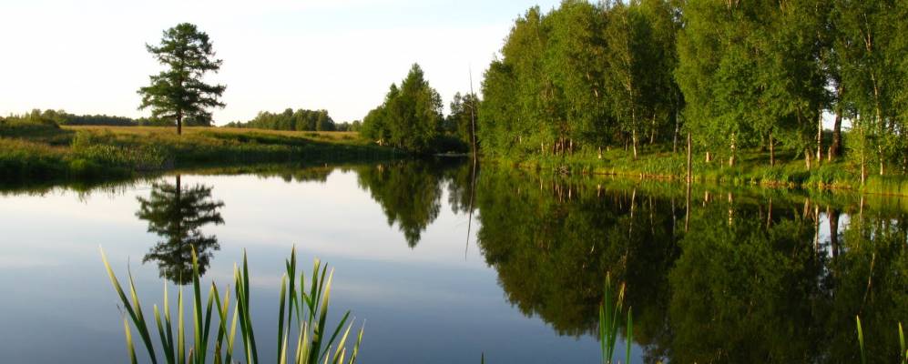 
            Фотография Новоалександровки