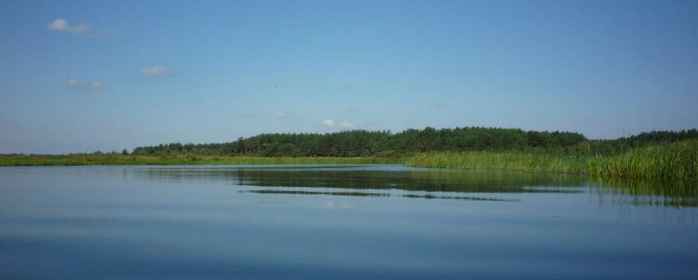 
            Фотография Рудки