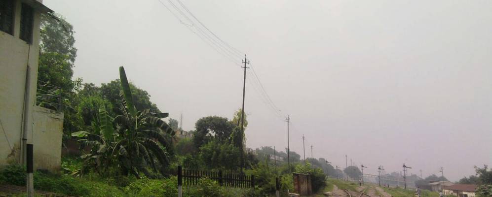 
            Фотография Шамли