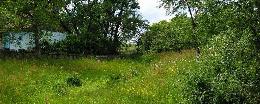 
            Фотография Нижней Волчьей