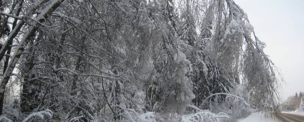 
            Фотография Трёхмарьино