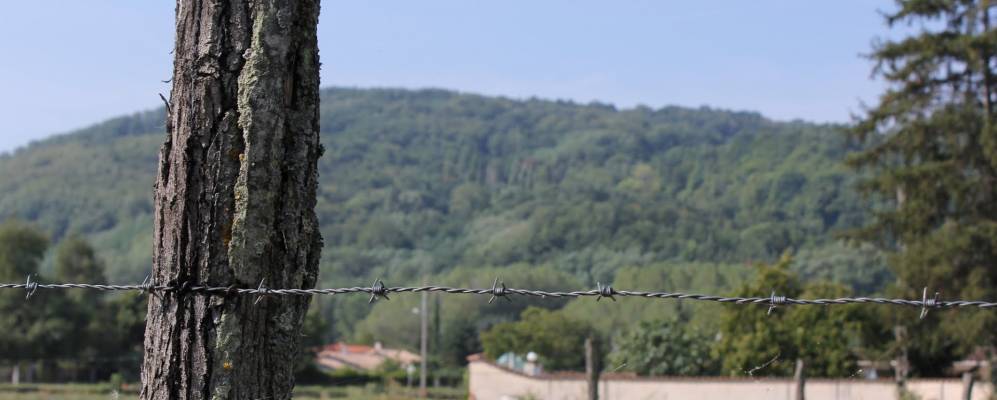 
            Фотография Рьё-де-Пельпора