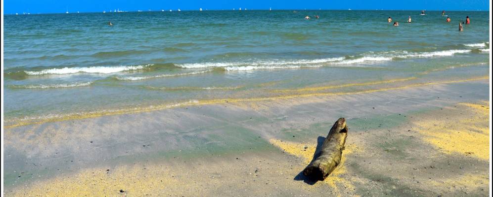 
            Фотография Марина-ди-Равенны