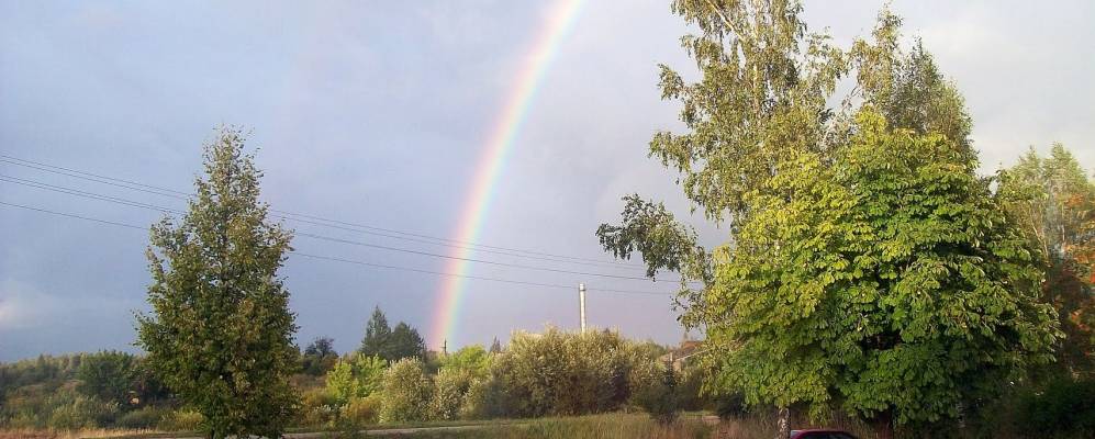 
            Фотография Лешно