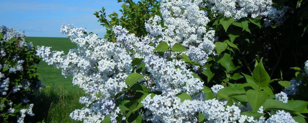 
            Фотография Красного Угла