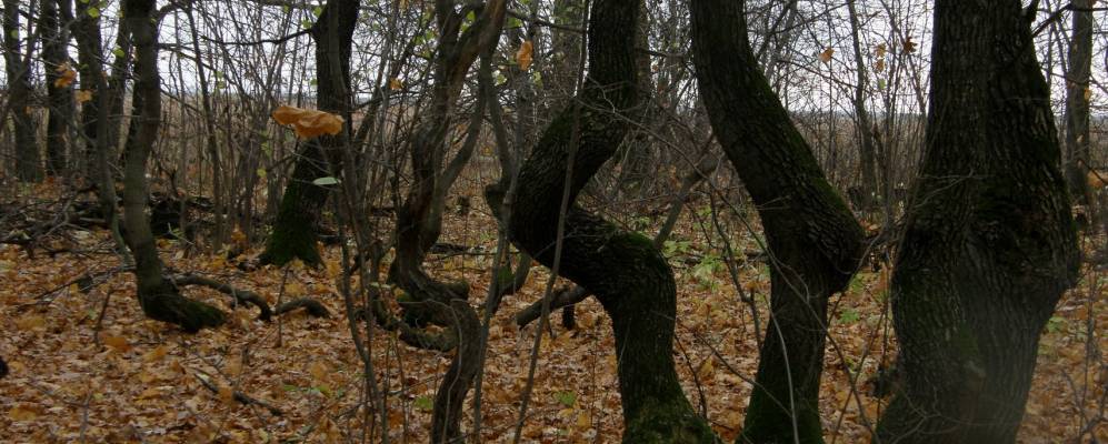 Фотография Валяевки