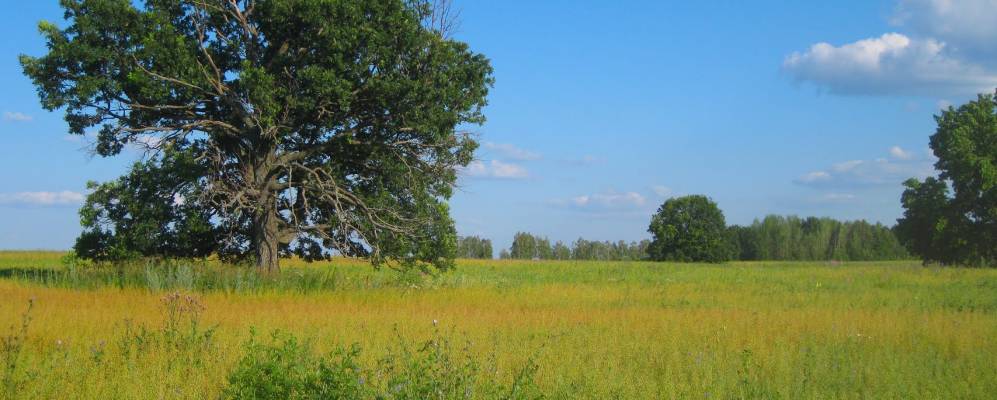 
            Фотография Сыресево