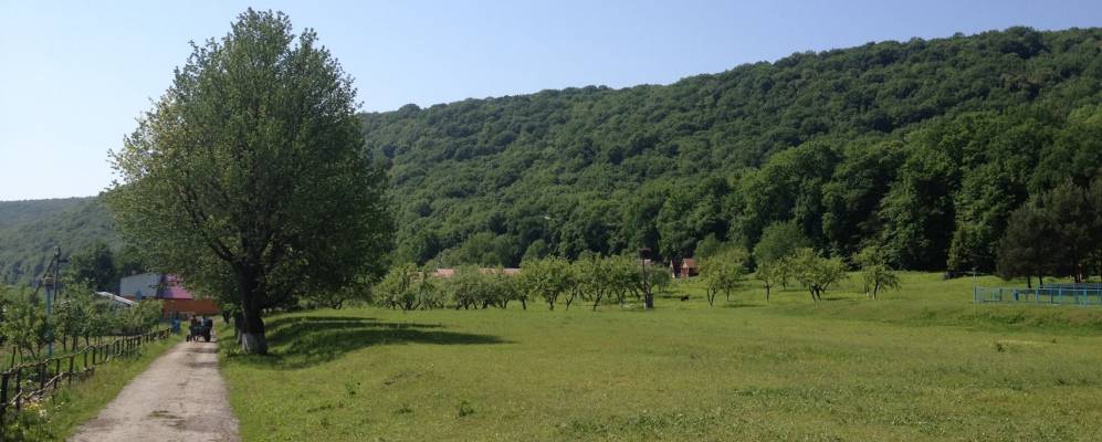 
            Фотография Блищанки