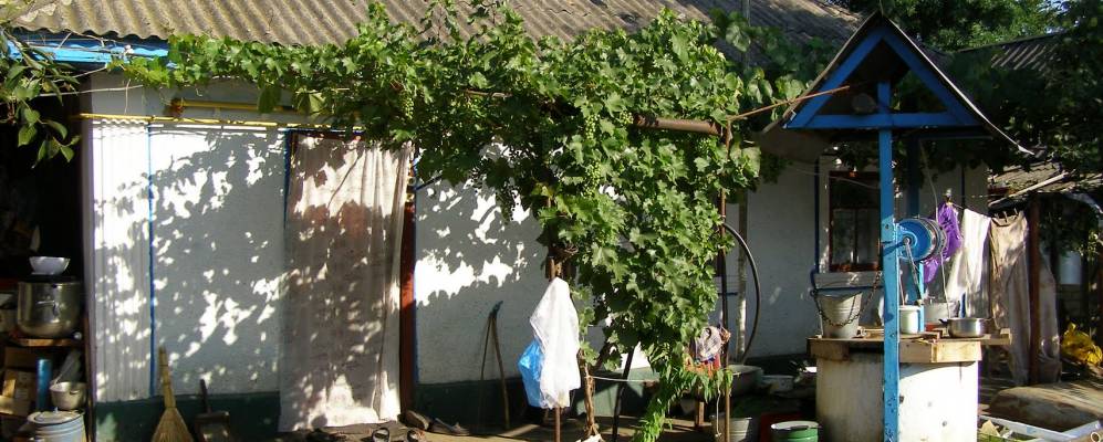 
            Фотография Ясенова Первого