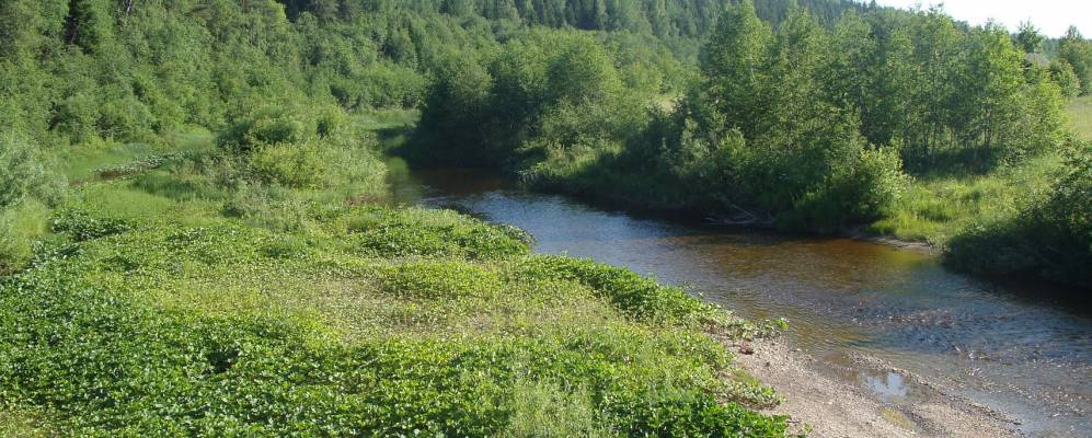 
            Фотография Маньково