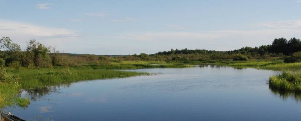 
            Фотография Кривошейно