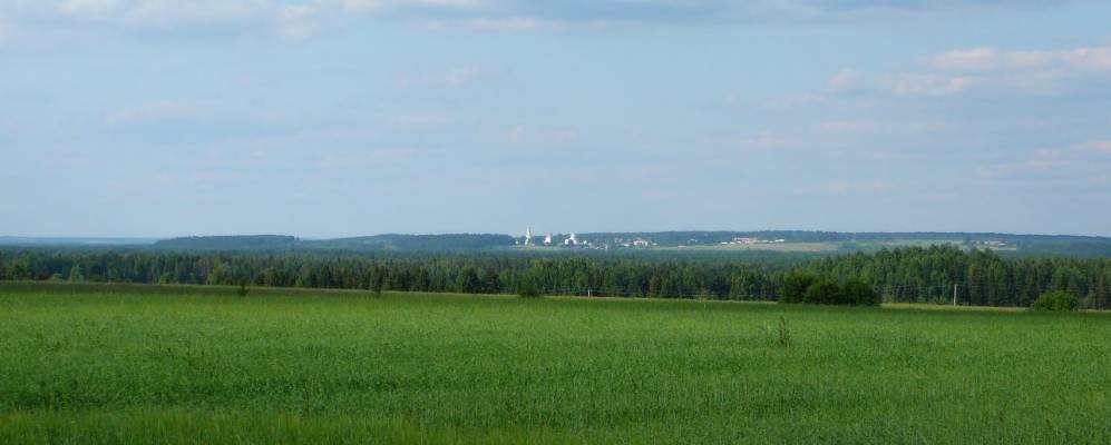 
            Фотография Вязовки