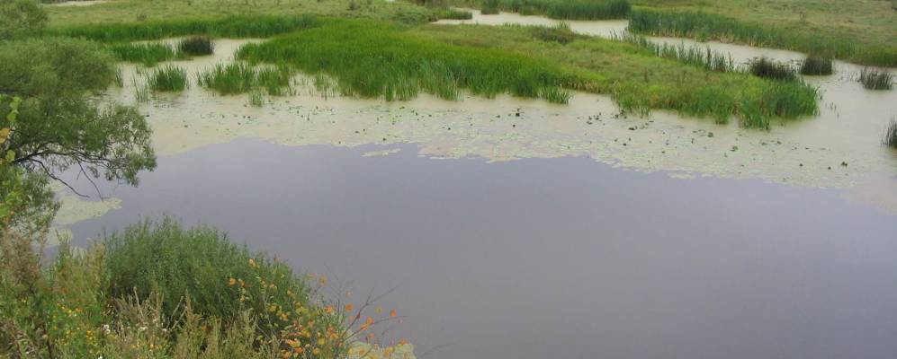 
            Фотография Алехино