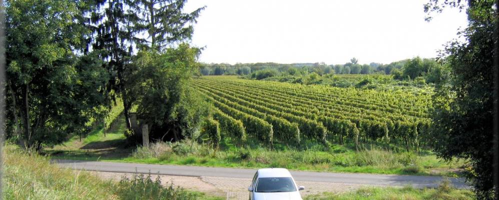 
            Фотография Оппенхайма