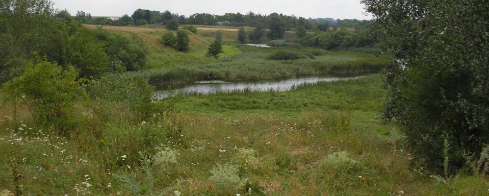 
            Фотография Таборова