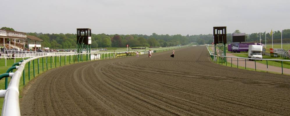 
            Фотография Лингфилда