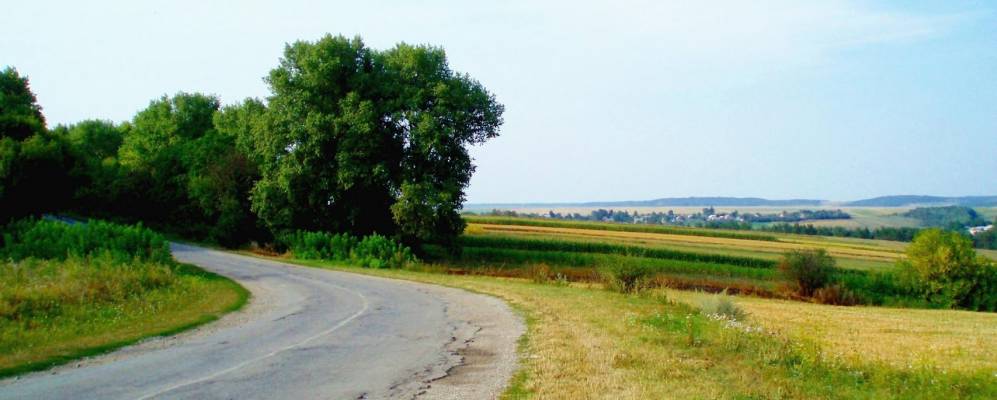 
            Фотография Раштовцы