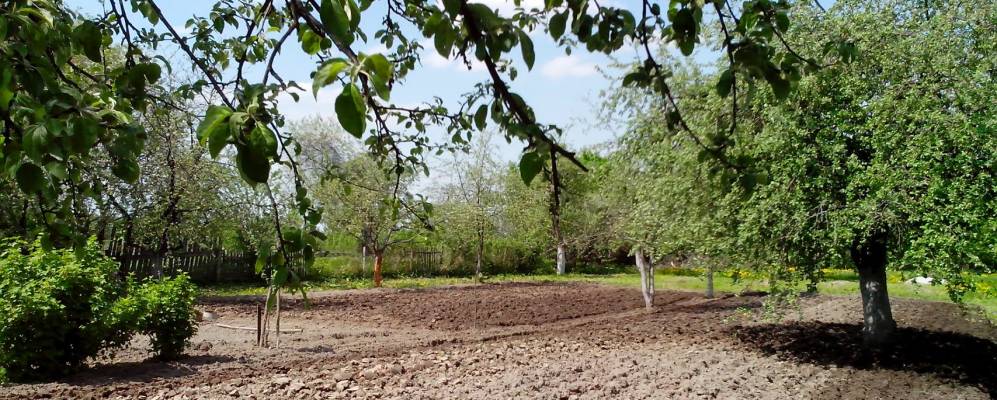 
            Фотография Заречья