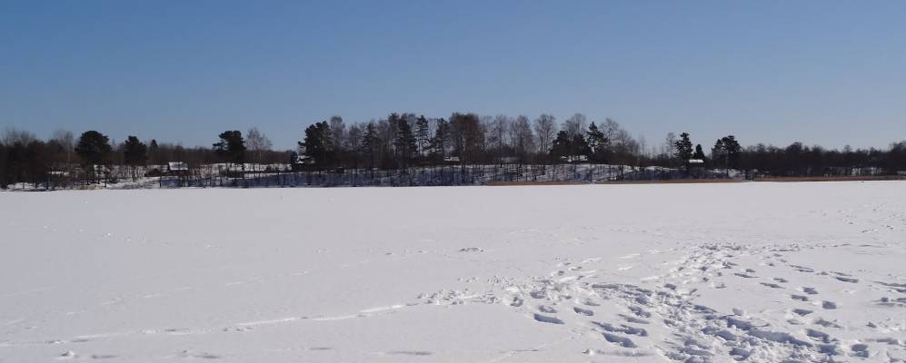 Фотография Боярского