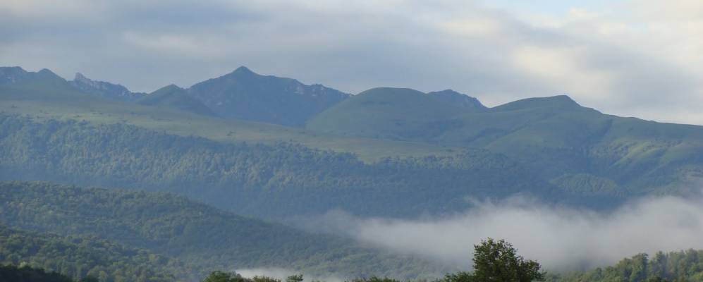 Фотография Гехи-Ча