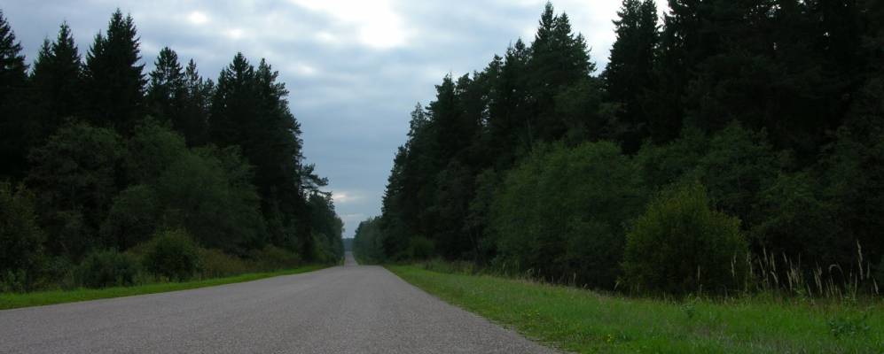 
            Фотография Подсухино